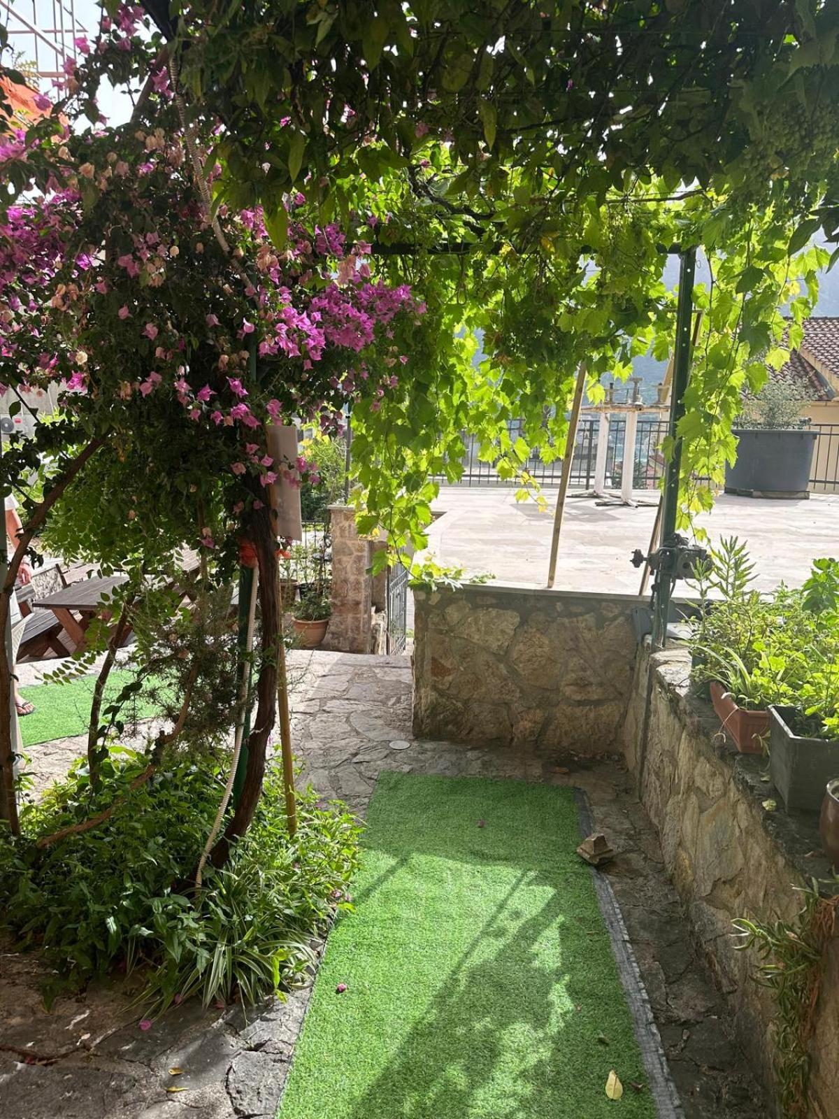 Themis Apart Hotel Κότορ Εξωτερικό φωτογραφία