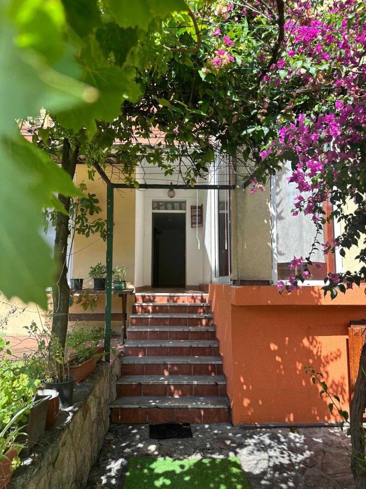 Themis Apart Hotel Κότορ Εξωτερικό φωτογραφία